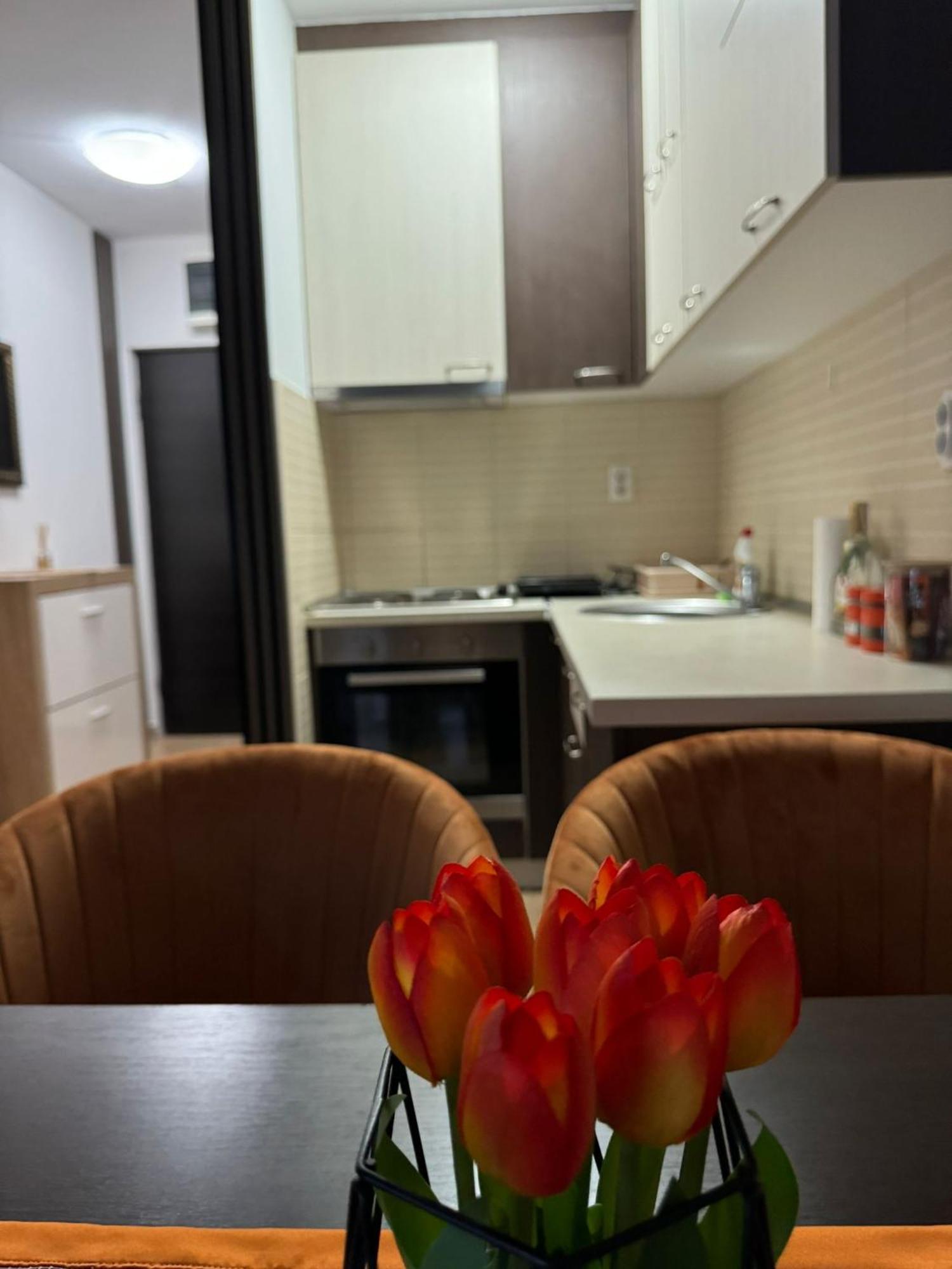 Stan Na Dan Aurora Apartment Pozarevac Luaran gambar