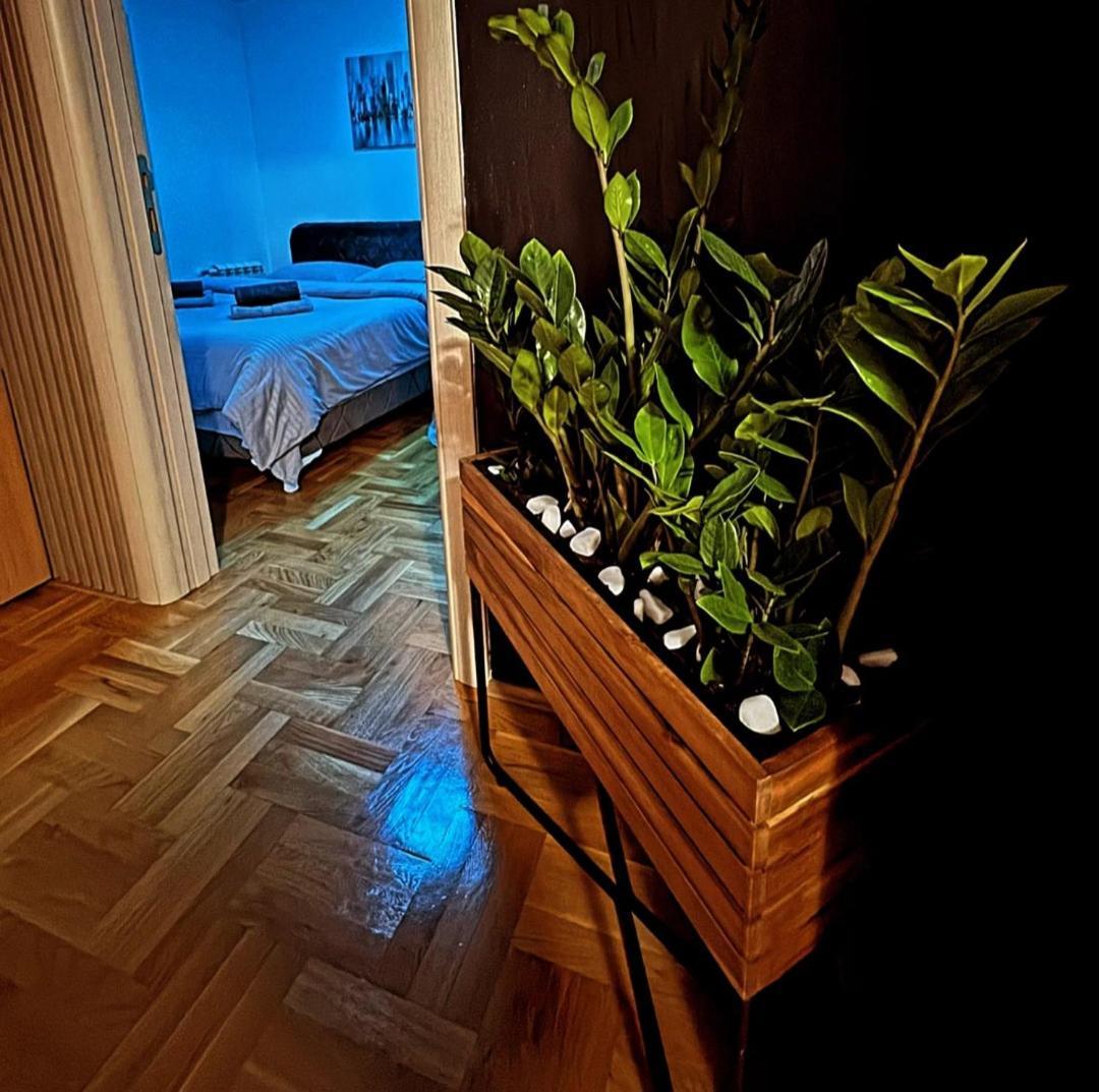 Stan Na Dan Aurora Apartment Pozarevac Luaran gambar