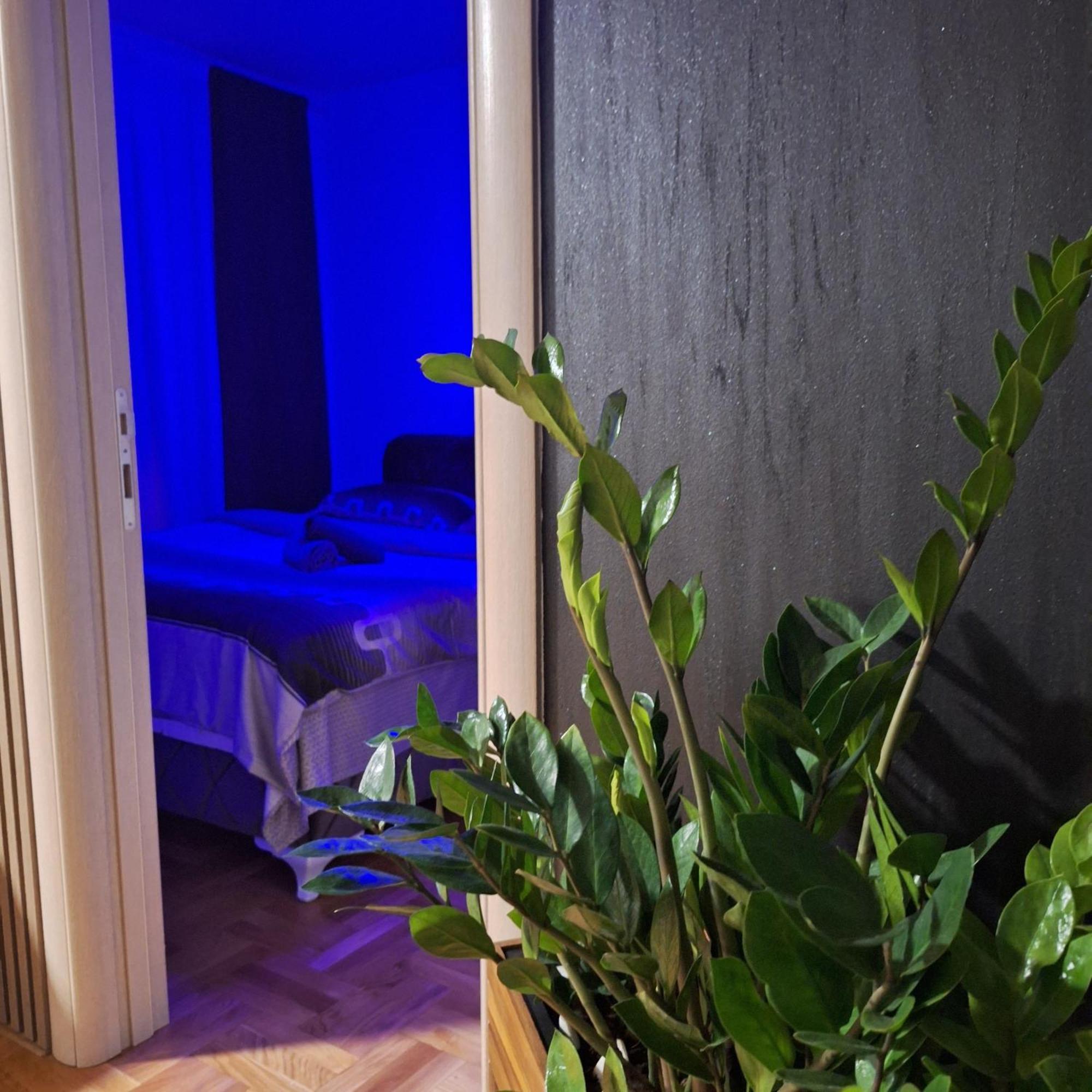 Stan Na Dan Aurora Apartment Pozarevac Luaran gambar