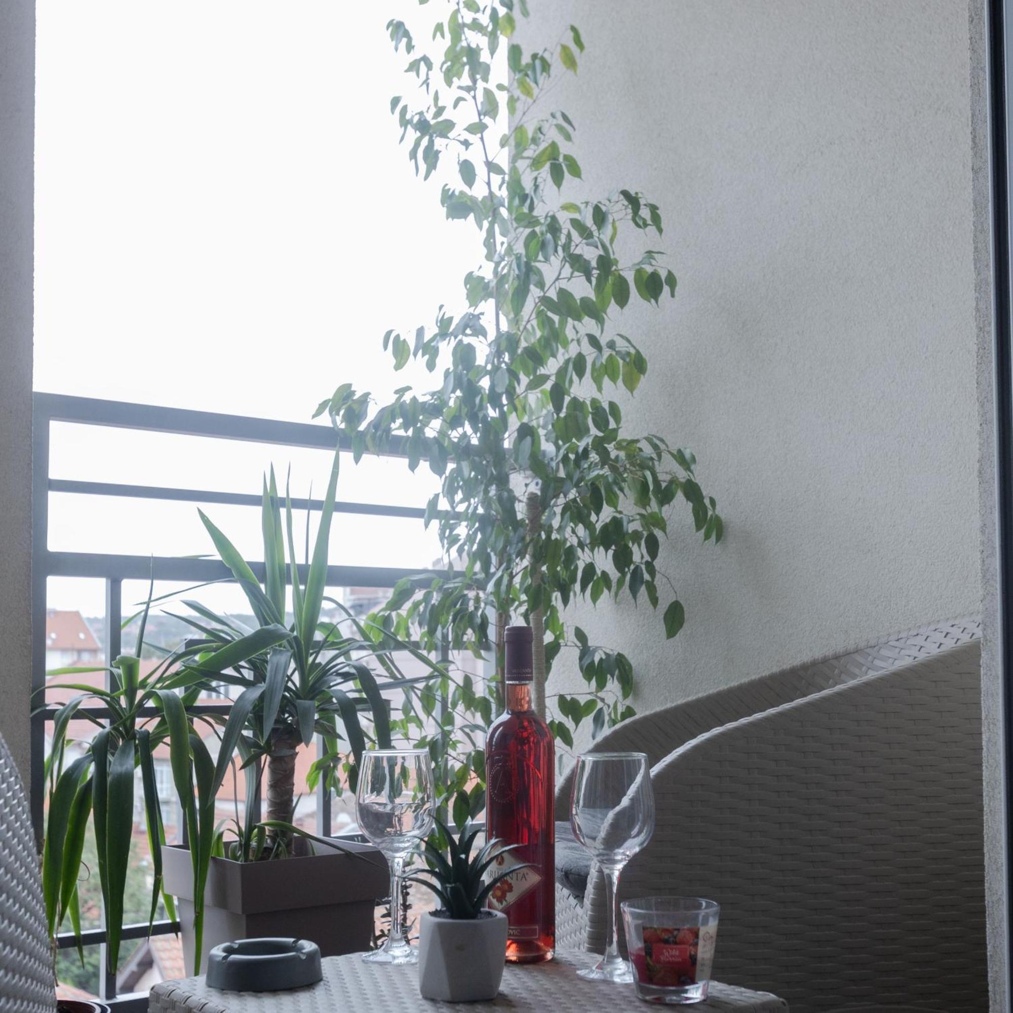 Stan Na Dan Aurora Apartment Pozarevac Luaran gambar