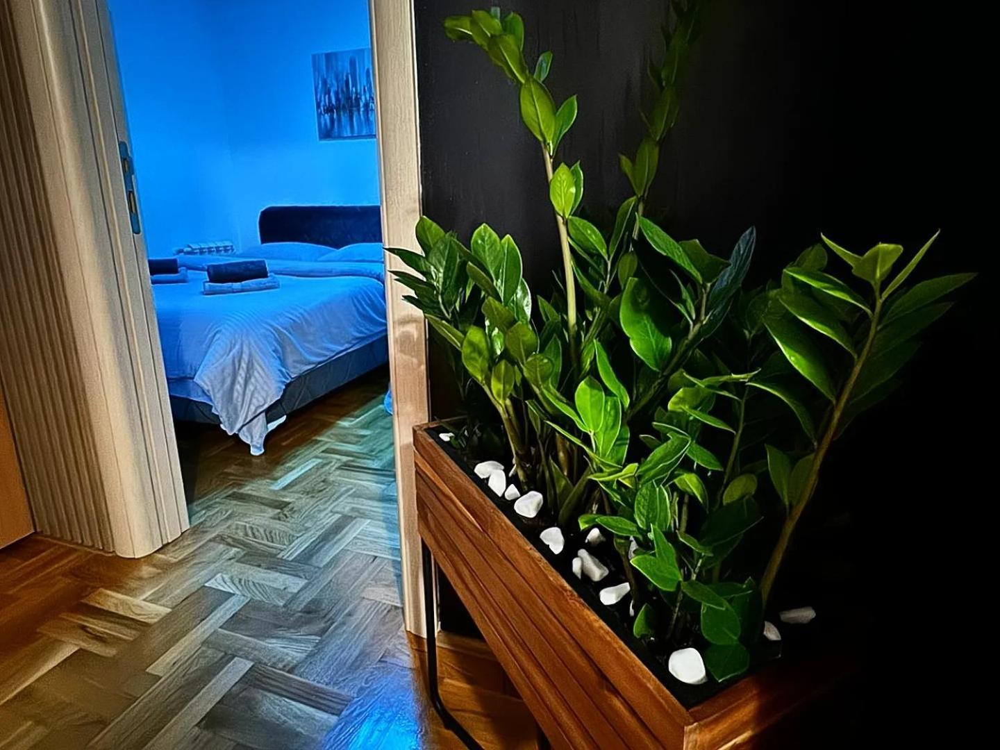 Stan Na Dan Aurora Apartment Pozarevac Luaran gambar